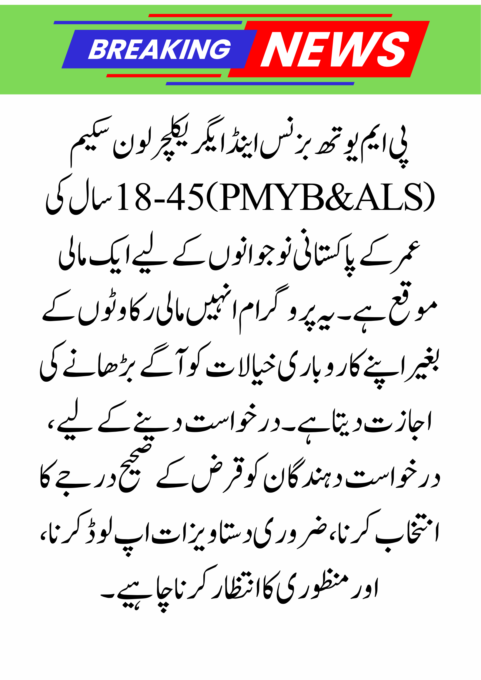 How to Apply for the PM Youth Bsiness and Agriculture Loan Scheme (PMYB&ALS) – Complete Guide