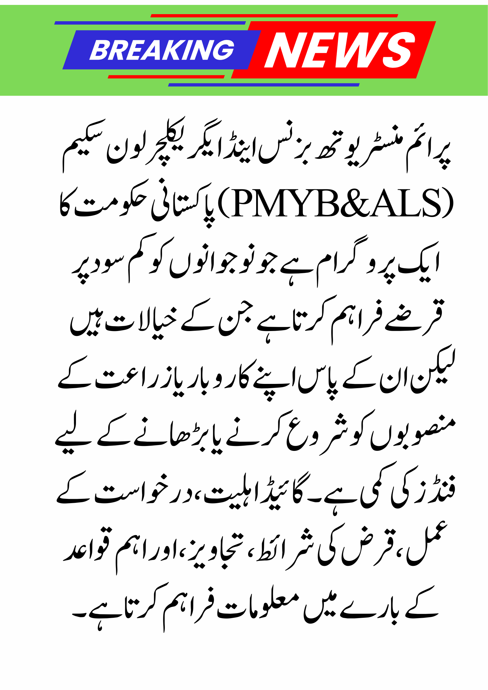 How to Apply for the PM Youth Bsiness and Agriculture Loan Scheme (PMYB&ALS) – Complete Guide