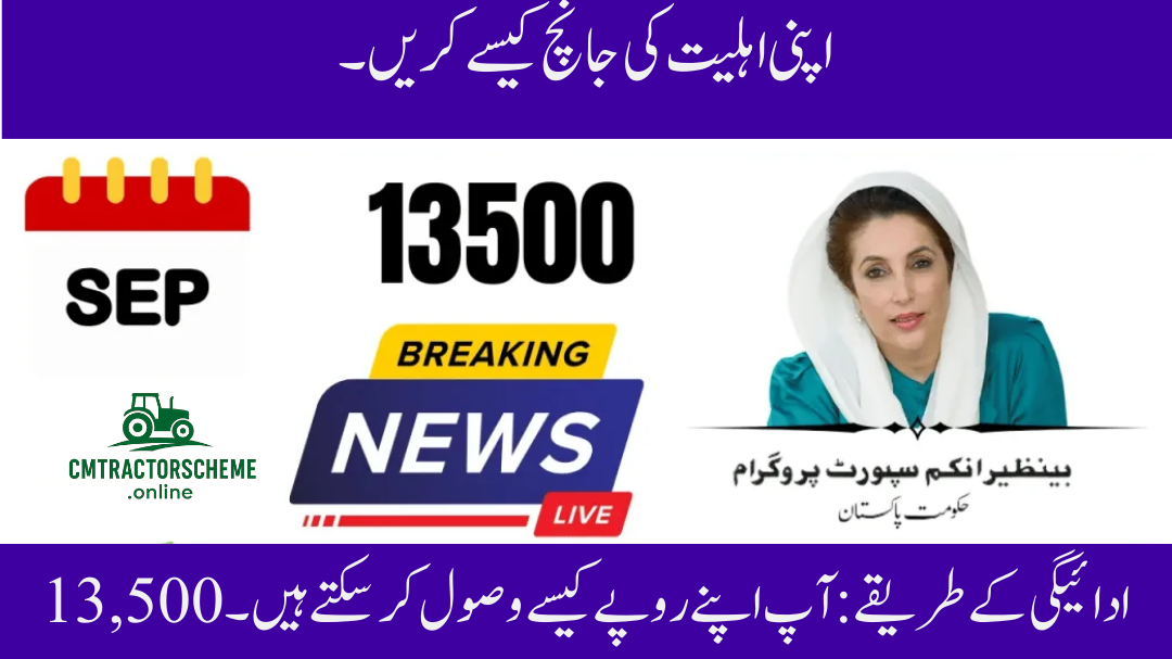 BISP 8171 September Rs. 13,500 Payment Details – Complete Guide for Beneficiaries 2025