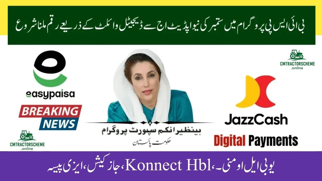 BISP 8171 Digital Payments 2025