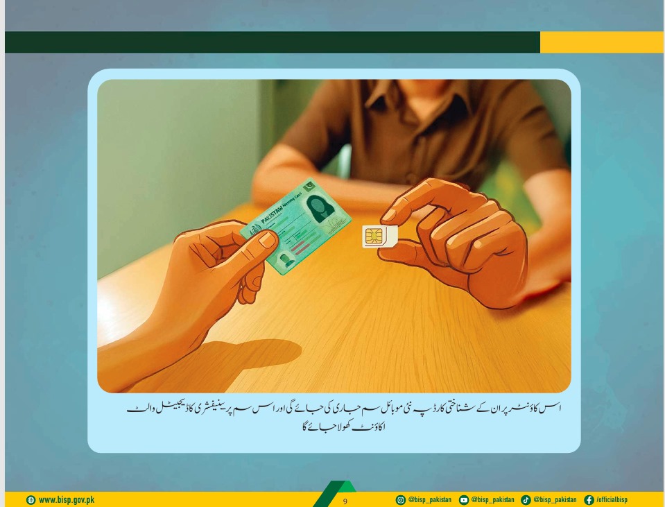 BISP 8171 Digital Payments 2025